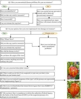 High throughput sequencing technologies complemented by growers’ perceptions highlight the impact of tomato virome in diversified vegetable farms and a lack of awareness of emerging virus threats